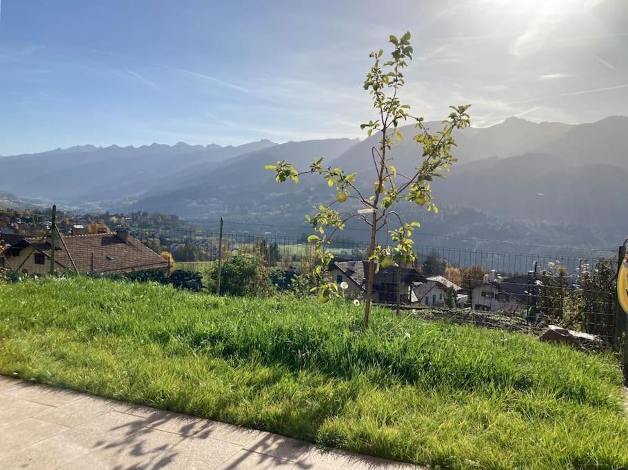 Casa Diaf Appartamento Incantevole Carano Ville Di Fiemme 外观 照片